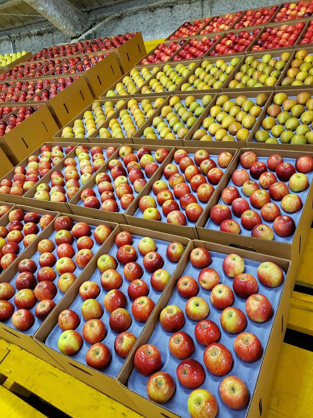 Apple Records